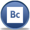 Adobe Business Catalyst from Innovaxis