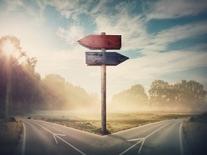 diverging pathway with two blank signs pointing in opposite directions