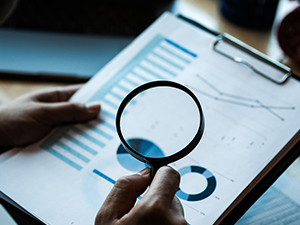 Auditing documents